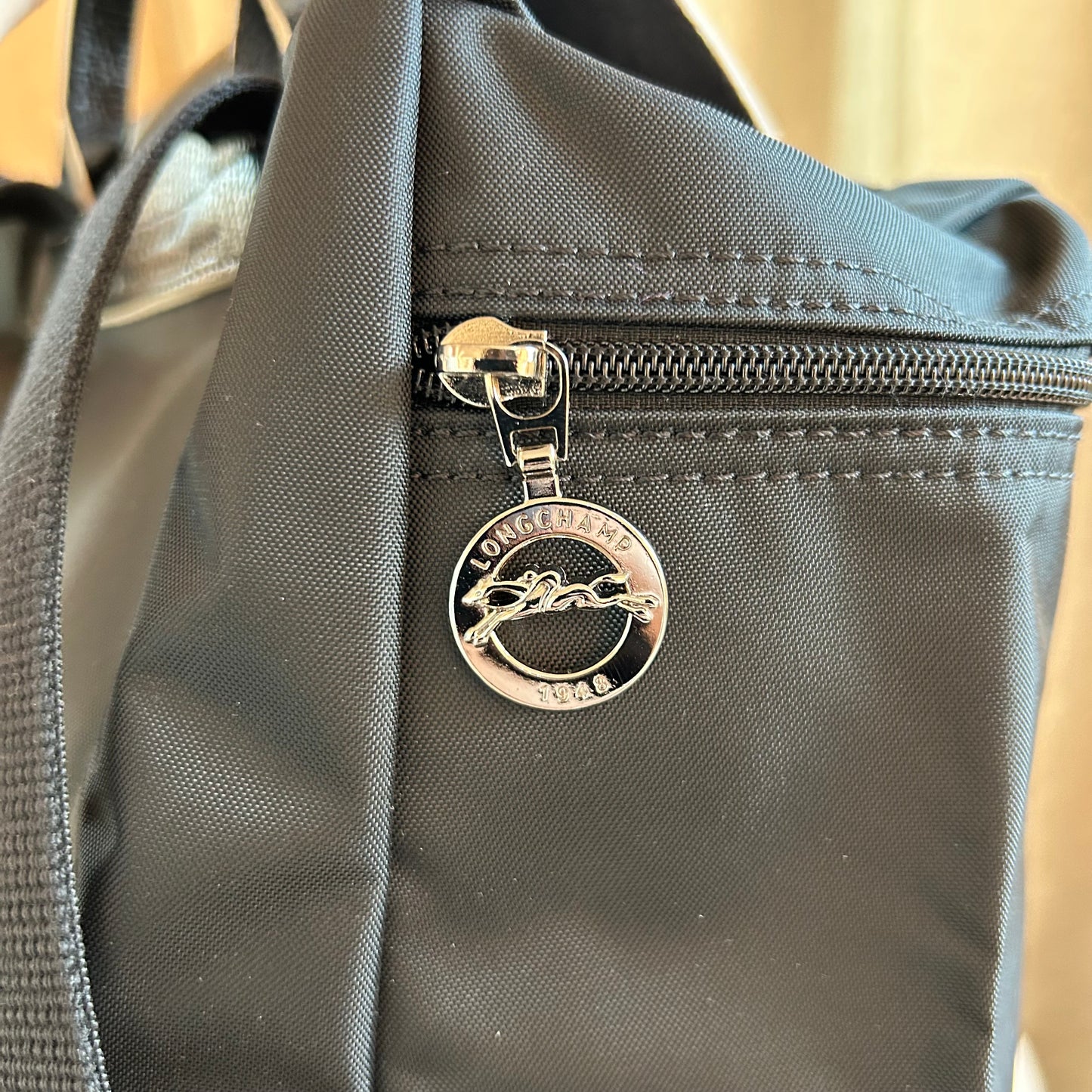 Pre-Loved Longchamp Le Pliage Nylon Backpack