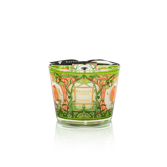Baobab Tomorrowland Candle - Small