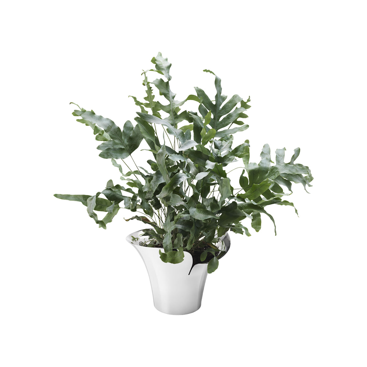 Georg Jensen Bloom Botanica Flower Pot - Medium