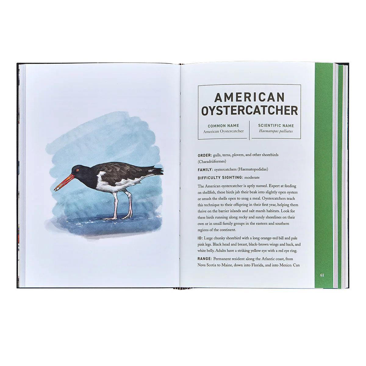 Graphic Image - Birds: An Illustrated Field Guide
