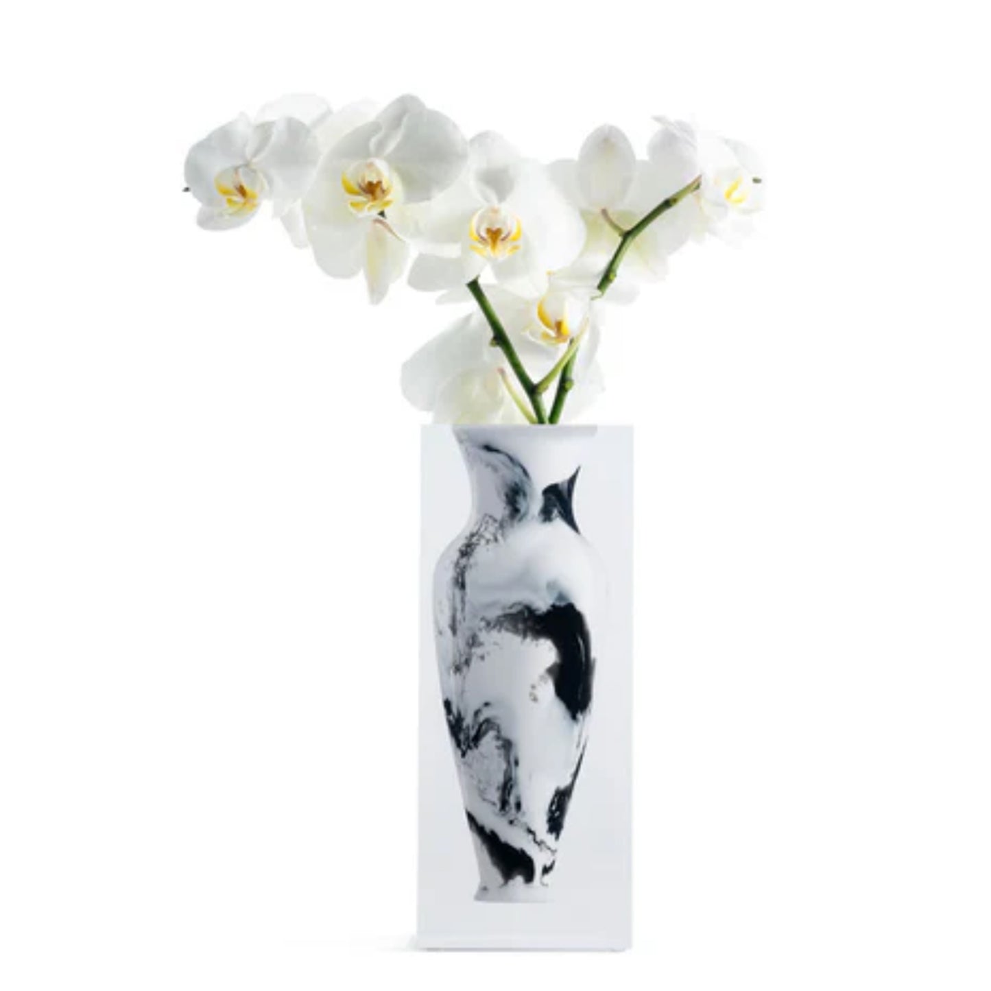 JR William - Elizabeth Vase