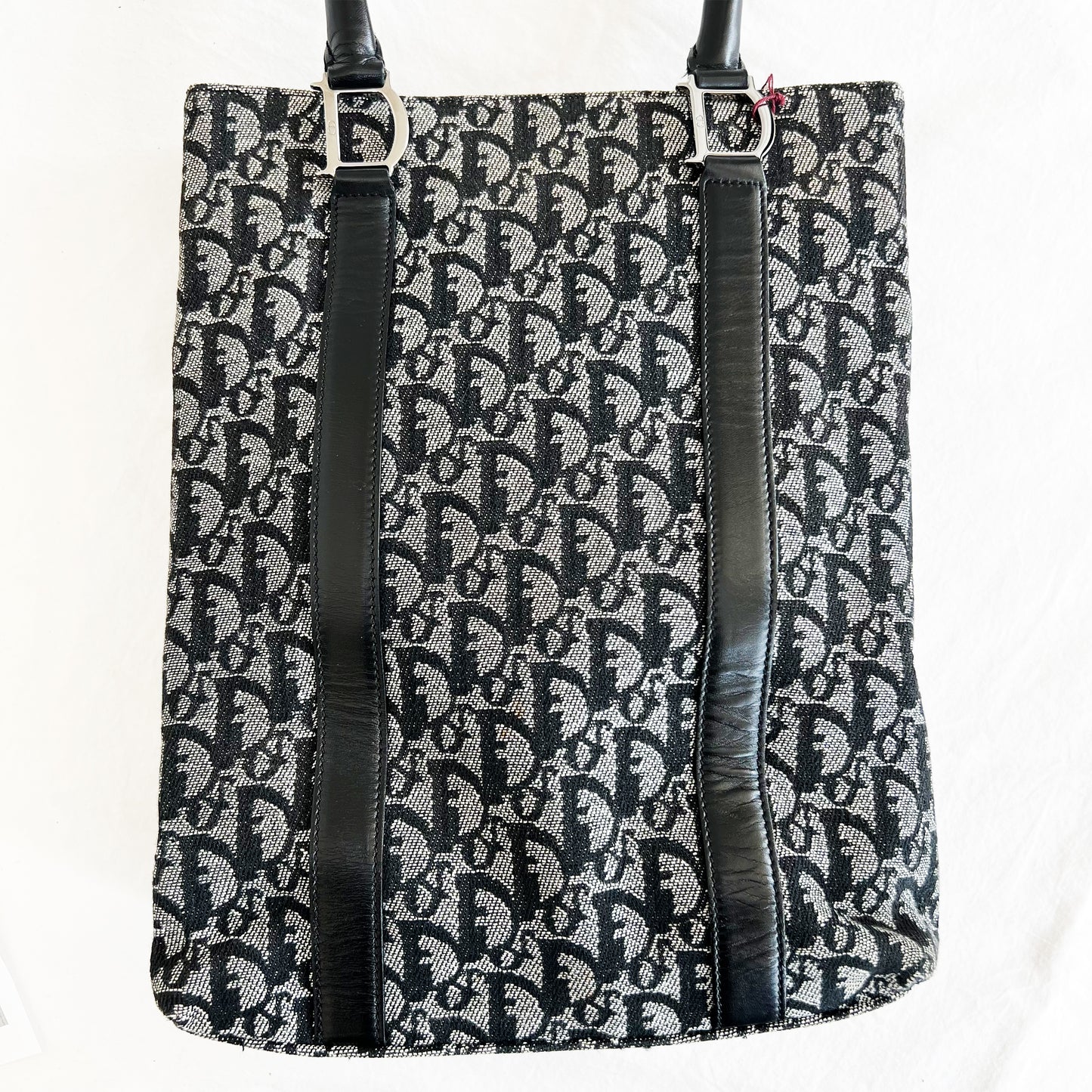 Dior Monogram Trotter Tote