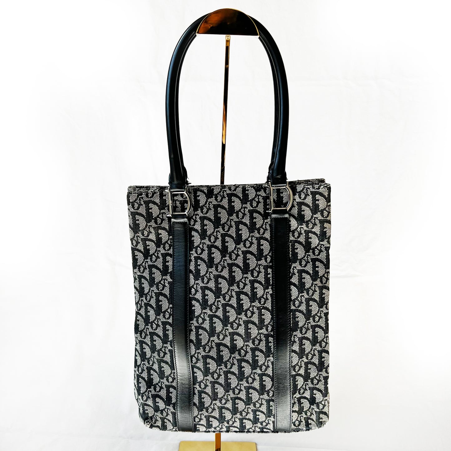 Dior Monogram Trotter Tote