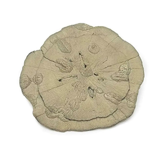 LuxeRox Golden Pyrite Sun