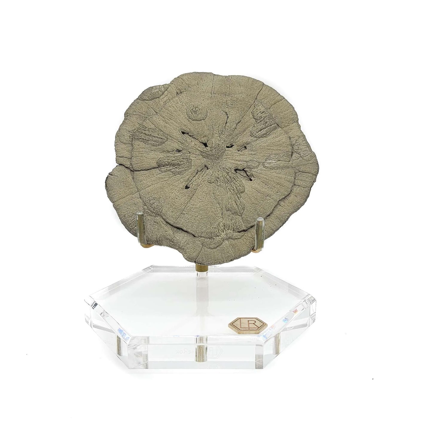 LuxeRox Golden Pyrite Sun