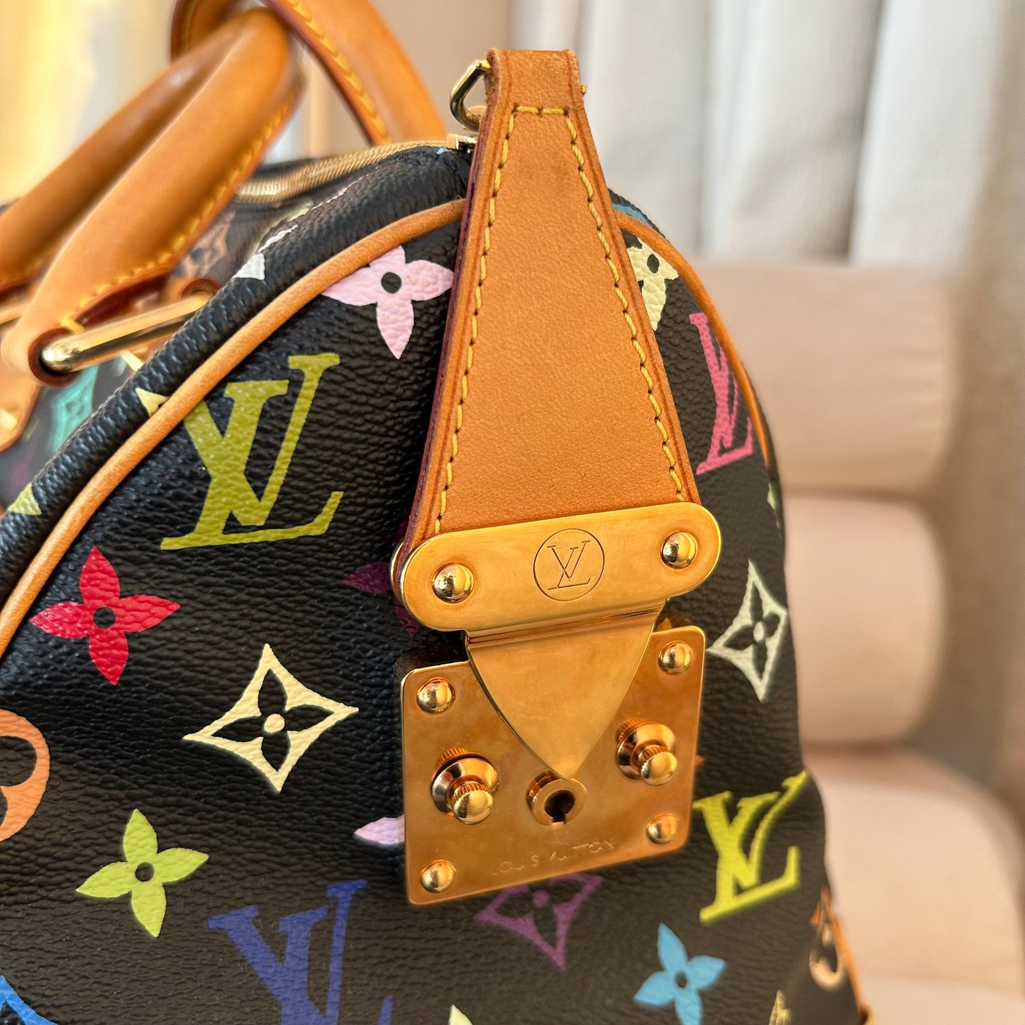 Pre-Loved Louis Vuitton Murakami Speedy 30