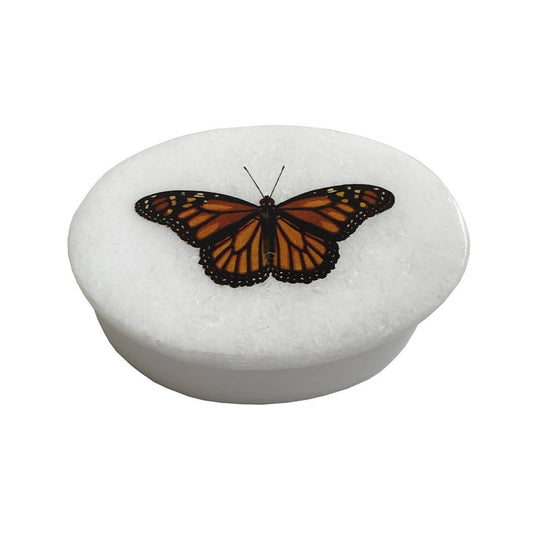 Monarch Butterfly Soapstone Jewelry Box
