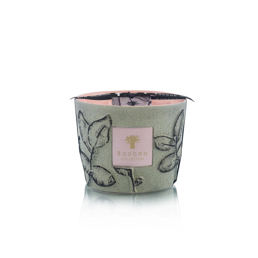 Baobab Folia Maquis Candle - Small