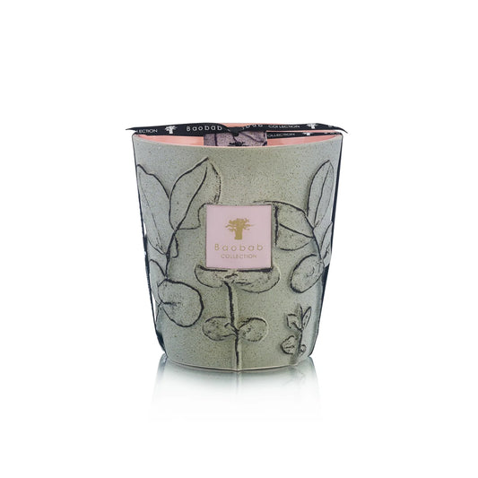 Baobab Folia Maquis Candle - Medium