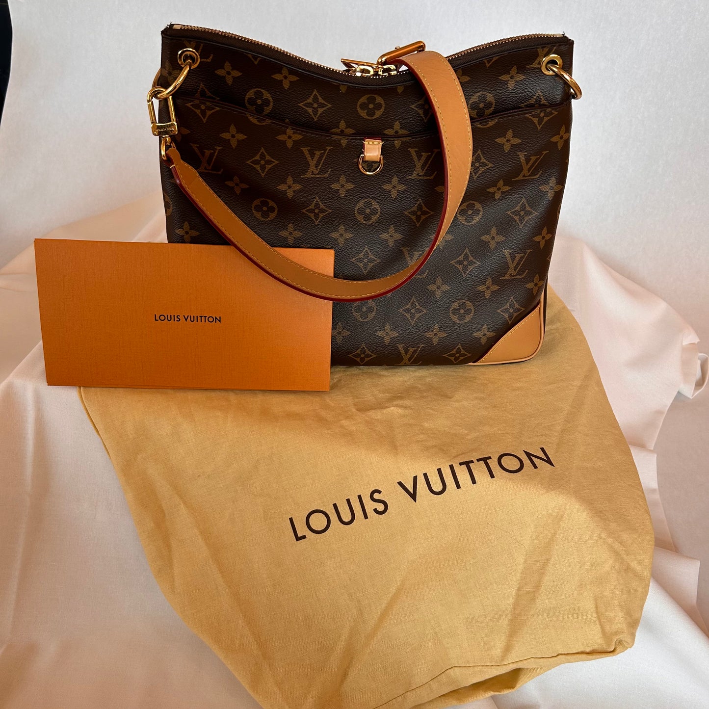 Pre-Loved Louis Vuitton Odeon NM MM